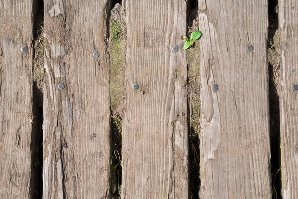 Old Rough Wooden Planking Background Worn Large Gaps Planks — Fotografia de Stock