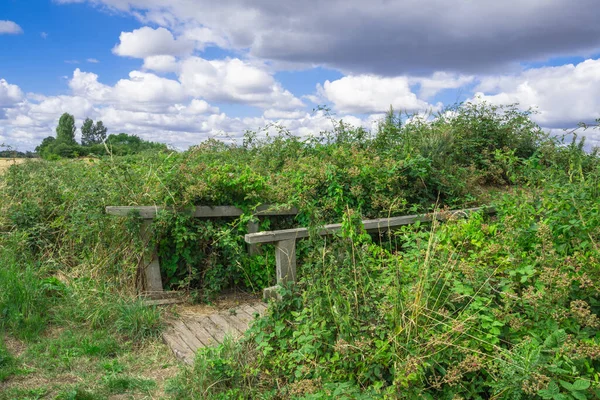 Old rough wooden foot bridge on nature trail flanked by bushes and brambles