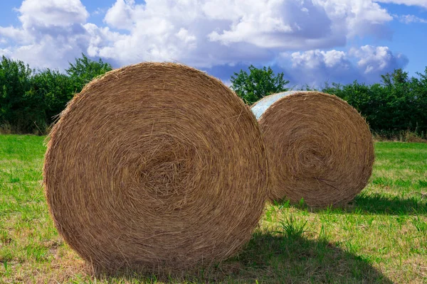 Two Circular Straw Bales Meadow Harvesting — 图库照片