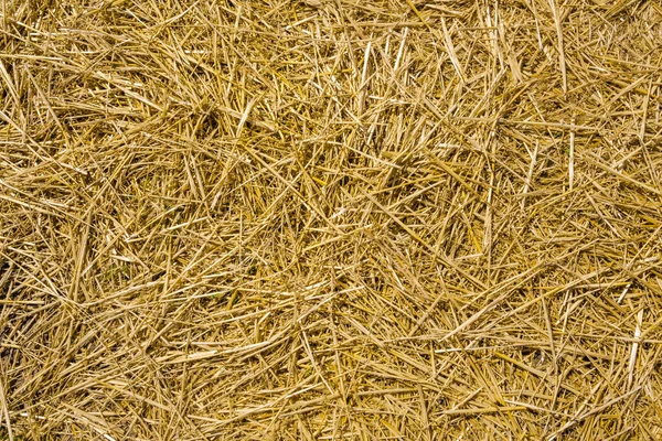 Loose seamless straw background, full frame