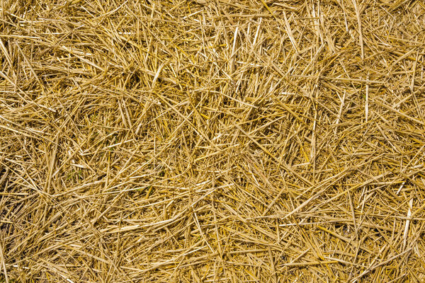 Loose seamless straw background, full frame