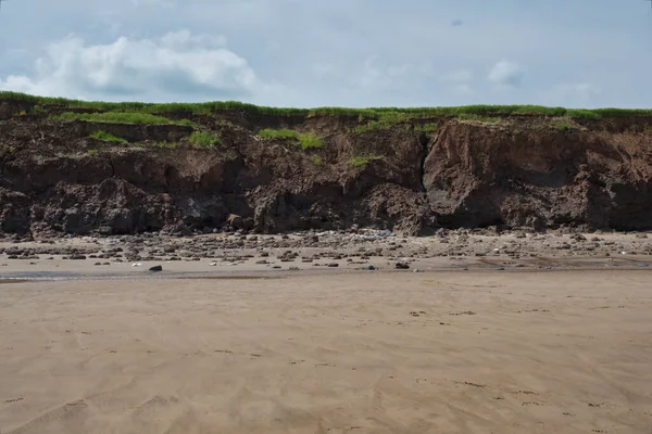 Deniz kıyısının güzel manzarası