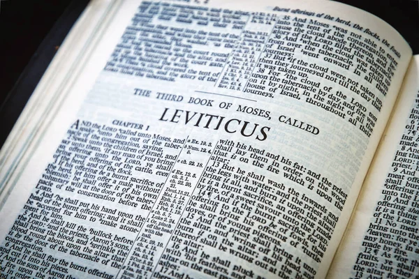 Close up of Holy Bible page, shallow depth of field with focus on book chapter heading, Leviticus