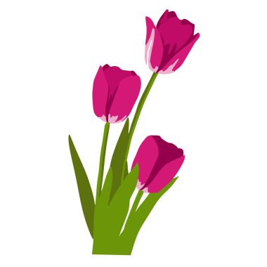 Very beautiful red flower vector drawing