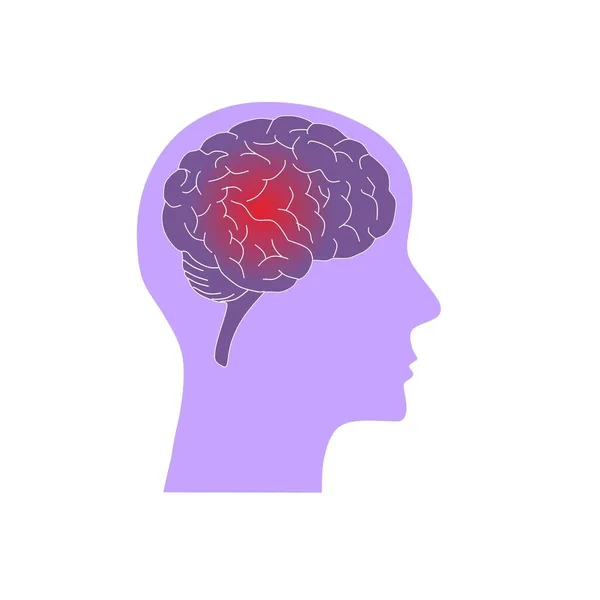 Human Head Contains Brain — Fotografia de Stock