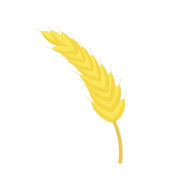 Spikelet Wheat Isolated Vector Design Element Farming Bakery Grain — Vettoriale Stock