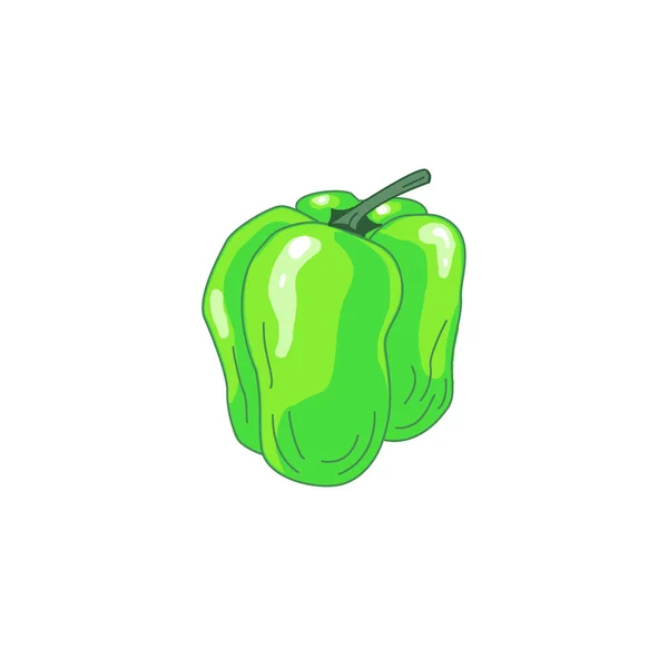 Green pepper in cartoon style with stroke isolated on the white background