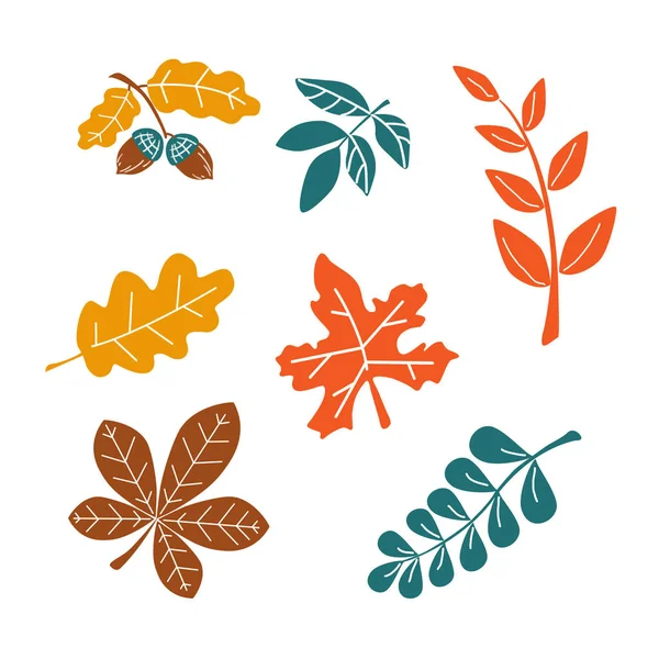 Autumn Set Abstract Leaves Maple Oak Chestnut Acorn Leaves Vector — Stock Vector