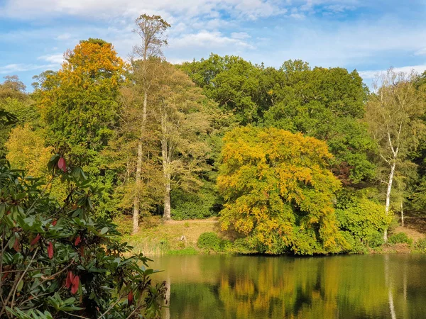 Krásná Podzimní Krajina Stromů Listoví Rybník Západním Yorkshire Mimo Leeds — Stock fotografie