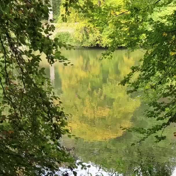 Krásné Podzimní Zachycení Žlutého Stromu Odrážejícího Jezeře Anglii Abstraktní Zachycení — Stock video
