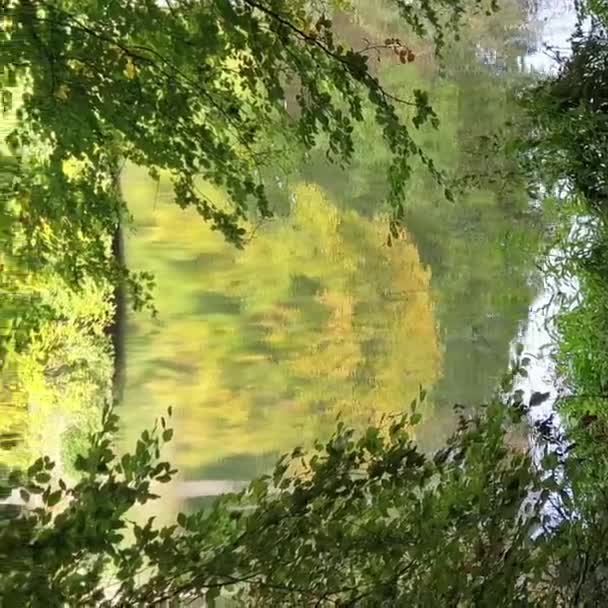 美丽的秋天捕捉到了反映在英格兰湖中的一棵黄树 作为背景的抽象捕捉法 — 图库视频影像