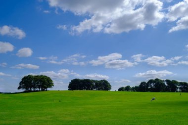 Batı Yorkshire, İngiltere - 23 Ağustos 2021: Temple Newsam House, Leeds, Yorkshire parkında oynayan insanlar