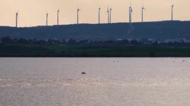 Larnaka tuz gölü ve rüzgar türbinleri yeşil enerji için bir kış öğleden sonra tepenin yamacında