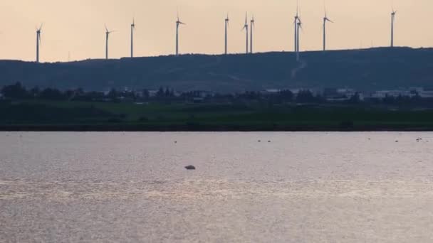 Larnaca Lago Salgado Turbinas Eólicas Para Energia Verde Encosta Colina — Vídeo de Stock