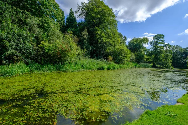 Bela Paisagem Folhagem Árvores Uma Lagoa Cheia Nenúfares West Yorkshire — Fotografia de Stock