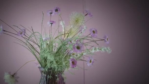 ピンクのガーベラやその他の花の花束が色鮮やかな背景にセットされている回転花瓶 — ストック動画