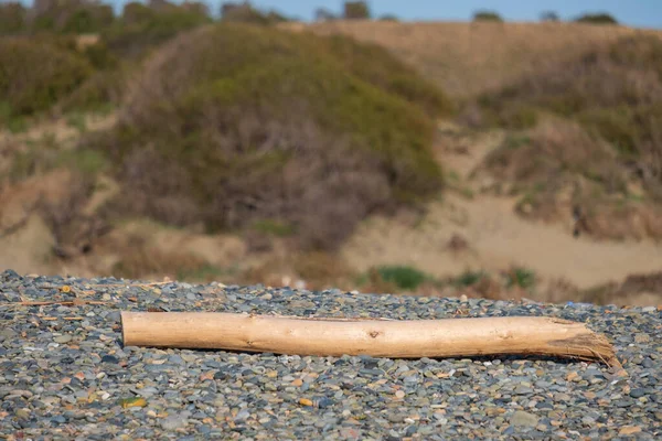 Pedaço Tronco Árvore Cortada Repousa Sobre Seixos Uma Praia Contra — Fotografia de Stock