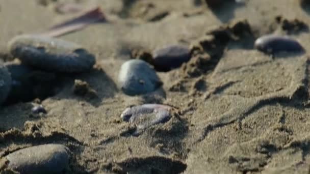 Přiblížit Pánev Oblázků Písečné Pláži Vlny Narážející Pláž Ayia Eirini — Stock video