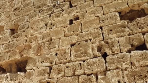 塞浦路斯老法马古斯塔城墙上的潘视频揭示了一只嵌套的鸽子 — 图库视频影像