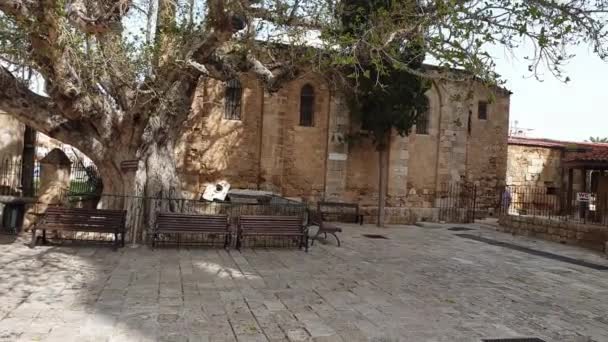 Středověká Katedrála Svatého Mikuláše Mešita Lala Mustafa Paša Famagusta Ostrov — Stock video