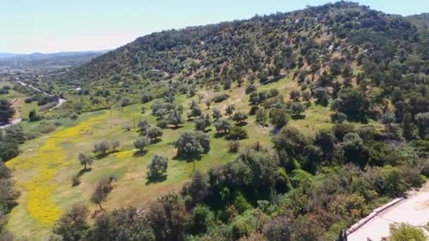 キプロスのアフロディーテ バス地区のアカマス半島国立公園の景観無人航空機のキャプチャ — ストック動画