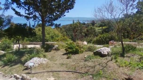 Landscape Akamas Peninsula National Park Aphrodite Baths Area Cyprus Drone — Stockvideo