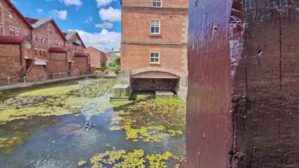 Pond Water Lilies Residential Area British City — Vídeo de Stock