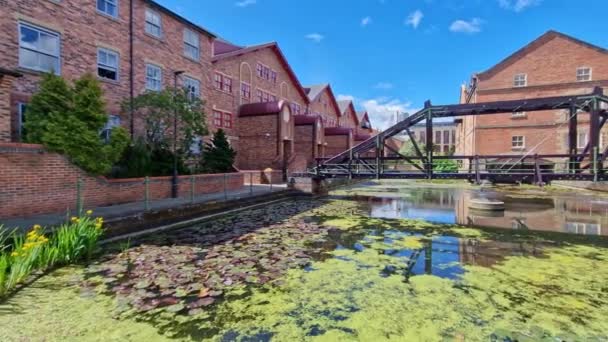 Pond Water Lilies Residential Area British City — Video