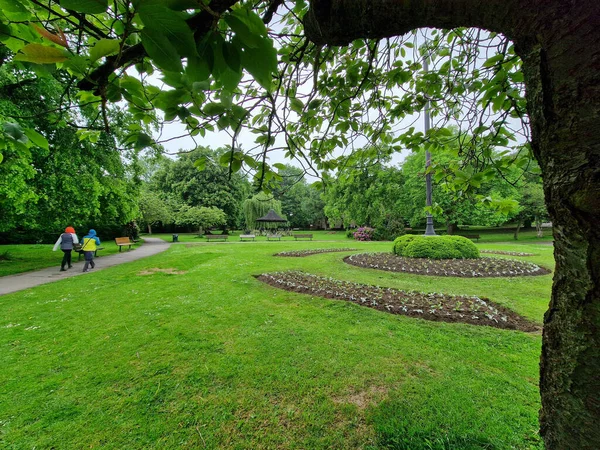 Powerful Luscious Green Trees Pudsey Park Two People Walking Distance — 스톡 사진