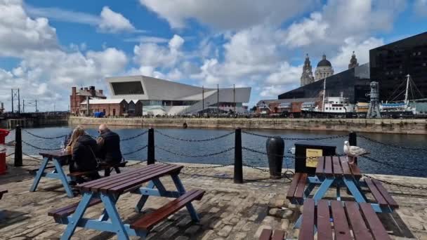 People Seated Benches Seagulls Set Liverpool Cityscape Albert Dock Port — Stock Video