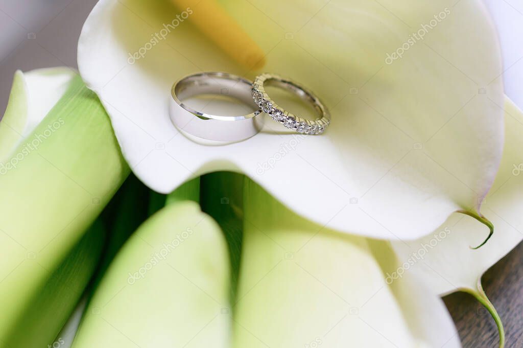 Stylish wedding rings made of white gold on a background of a bouquet of calla lilies
