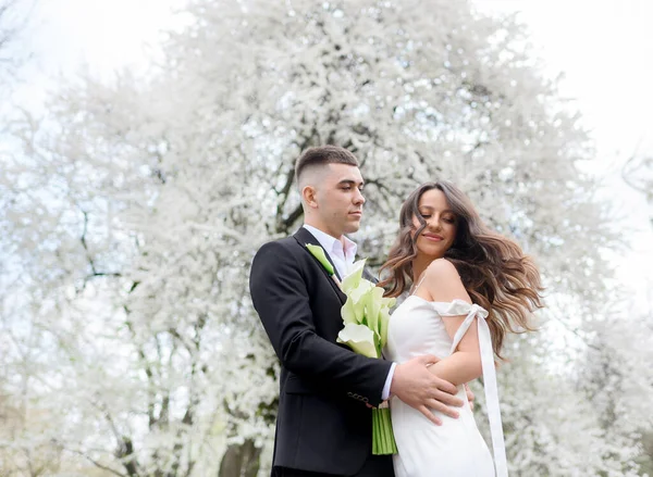 Belo recém-casado abraçando em um fundo de árvore florescente — Fotografia de Stock