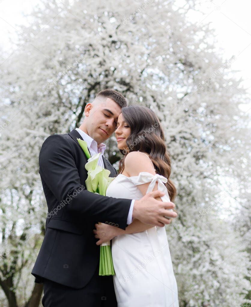 Beautiful newlywed embracing on a background of blossoming tree