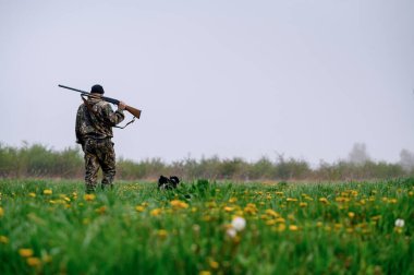 Omzunda silah olan bir erkek avcı Rus bir köpek ile yürüyor.
