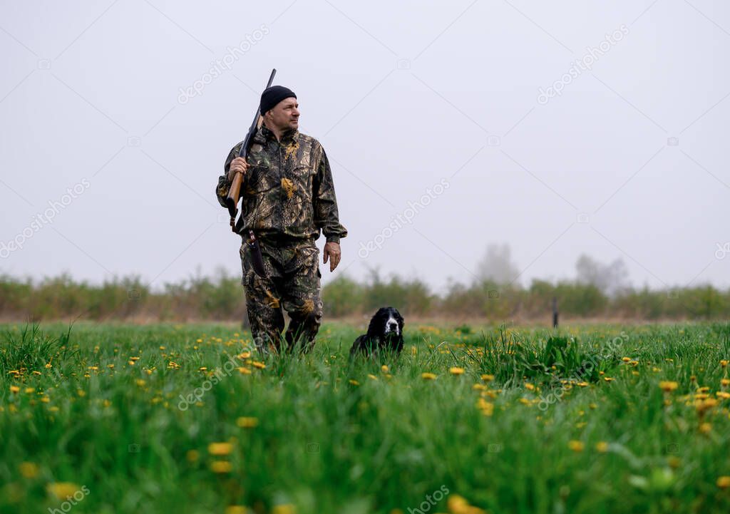 Male hunter with a gun on his shoulder walking with a Russian spaniels dog