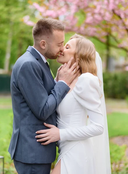 Beautiful wedding caucasian couple kissing on the background of sakura tree — Stockfoto