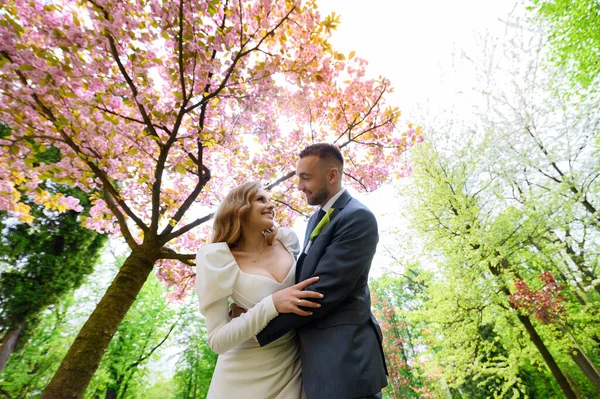 Beautiful wedding couple hugging against the backdrop of a sakura tree — Stockfoto