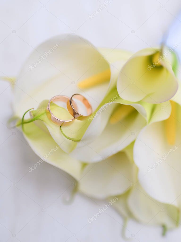 Wedding rings on a background of a beautiful bouquet of white calla lilies