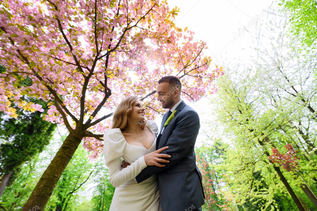 Beautiful wedding couple hugging against the backdrop of a sakura tree