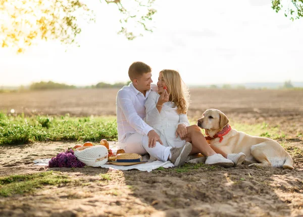 一对美丽的高加索夫妇坐在毛毯上野餐 抱着草莓 与一只落日的拉布拉多犬一起吃草莓的画像 — 图库照片