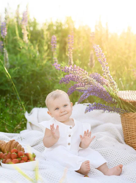 Beautiful Little Girl Sitting Blanket Picnic Background Sunset Field Lupines — Foto Stock