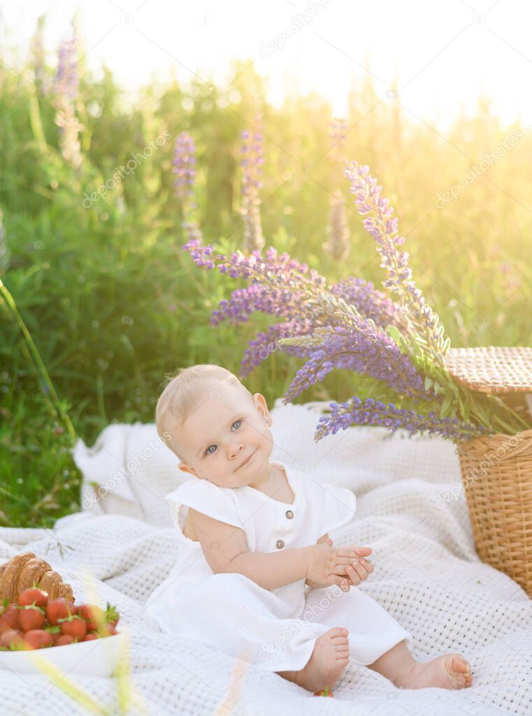 A beautiful little girl is sitting on a blanket at a picnic against the background of a sunset in a field of lupines