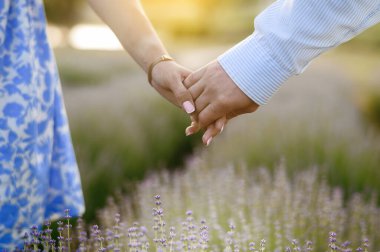 Birbirlerine aşık bir çiftin ellerini gün batımında lavanta tarlasının arka planına yakın çekim. 