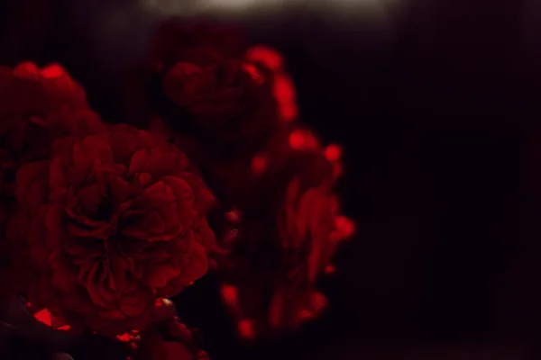 kırmızı siyah bir arka plan üzerinde duman