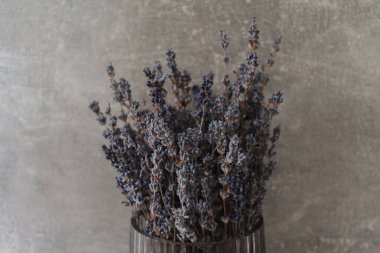 Vazoda bir demet taze lavanta çiçeği