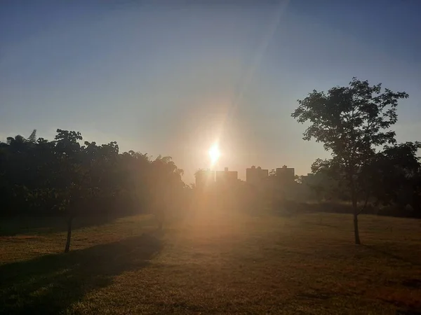 Όμορφο Ηλιοβασίλεμα Στο Πάρκο — Φωτογραφία Αρχείου