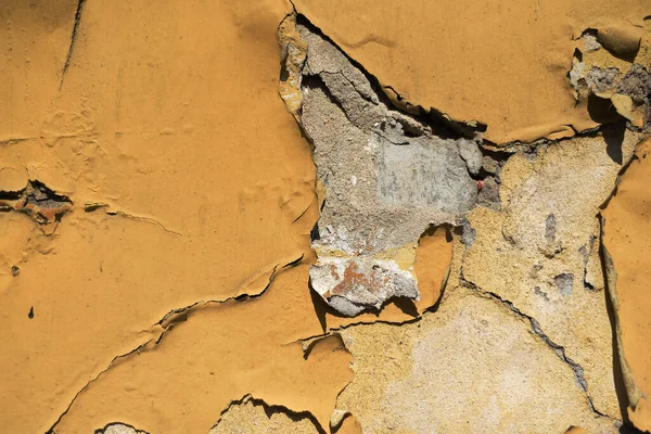 Kırık sarı, beyaz duvarlı.