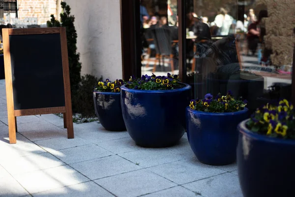 Blank wooden outdoor advertising stand. Clear street signage board near restaurant with flowers