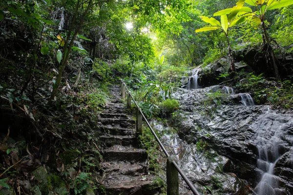 Hermosa Cascada Pequeña Selva Tropical Maekampong Chiang Mai Tailandia — Foto de Stock