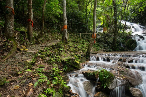 Beautiful Small Waterfall Rain Forest Maekampong Chiang Mai Thailand — Stock Photo, Image